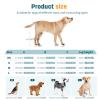 PETCUTE 2-Pack Dog Knee Braces with Reflective Strips, Adjustable Leg Support for ACL & Ligament Injuries, Strong Stabilization & Hind-Leg Protection for Fast Recovery—M (Blue) view 3