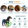 PETCUTE 2-Pack Dog Knee Braces with Reflective Strips, Adjustable Leg Support for ACL & Ligament Injuries, Strong Stabilization & Hind-Leg Protection for Fast Recovery—M (Blue) view 4