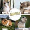 Rabbit Grass Tunnel Hideaway Toy for Small Pets view 4