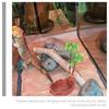 Reptile Water Bowls, Resin, for Turtles, Lizards and Snakes, 2-Piece Set view 2