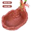 Reptile Water Bowls, Resin, for Turtles, Lizards and Snakes, 2-Piece Set view 4