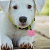 Hemobllo 10-Pack Cat Head Shaped Pet ID Tags view 4