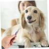 BUGUUYO Stainless Steel Tick Removal Tool for Pets view 4