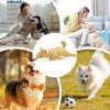Interactive Plush Dog Toy view 4
