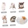 BESTonZON Hamster Sand Bath with Lid view 3