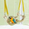 lisutupode Swing, Shotet Swing – Wooden Spring Swing Toy for Parrots and Cockatoos, Hammock and Cockatiel Chew Toy, Cage Accessory for Lovebirds and Finches view 3