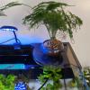 Aquarium Frag Rack, Coral Frag Holder Corner Shelf view 2