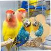 YARNOW Parrot Toy Wooden Perch with Mirror view 3