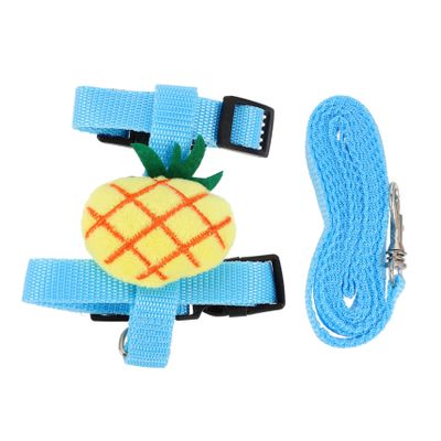 GRIRIW Adjustable Cat Harness Set
