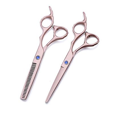 6-Inch Professional Japanese 440C Hair Cutting and Thinning Shears Set, Rose Gold Flower Handle