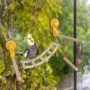 Bird Shower Perch with Window Mount, Natural Wood and Climbing Ladder view 2