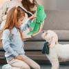 Huvqianu Dog Plush Toy - Crocodile view 3
