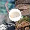 Reptile Hide, 5.12 x 3.54 in, for Geckos, Snakes, Turtles & Frogs view 3