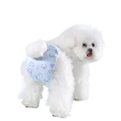 Disposable Dog Diapers for Females, 10 Pack