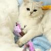 Interactive Feather Cat Toy with Bird Design view 3