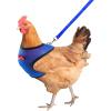 Chicken Harness - Adjustable Leash for Small Pets view 1