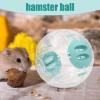 Transparent Silent Hamster Ball for Small Pets view 3