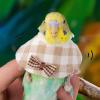Bird Collar, Soft Recovery Collar for Feather Plucking, Anti-Picking Bird Cone view 3