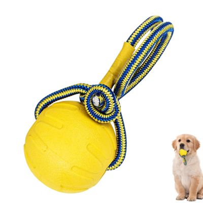 Jollyball for Dogs, Interactive Chew and Teething Knots for Teething and