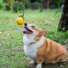 Durable Dog Ball with Handle view 4