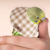 Parrot Collar - Adjustable Recovery Cone view 2