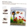 Operitacx Natural Seashell Decor for Aquariums view 2