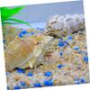 Operitacx Natural Seashell Decor for Aquariums view 3