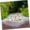 Operitacx Natural Seashell Decor for Aquariums view 4