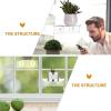 Aquarium Plant Holder view 2