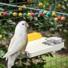 Zunishaone Bird Station view 3