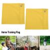 Jwthee 2-Pack Horse Training Flags, Portable Nylon Handheld Equestrian Flags, Yellow view 2