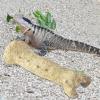 Gecko Hide and Reptile Shelter for Small Lizards and Climbing Habitat Decor view 2