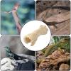 Gecko Hide and Reptile Shelter for Small Lizards and Climbing Habitat Decor view 4