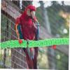 TOYANDONA 50 cm Green Flannel Parrot Perch view 3