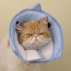 Adjustable Elizabethan Collar for Pets, Dogs, Recovery Cone, Anti-Bite Protection, Medical Neck Ring, Pet Accessory (Blue, XL) view 4