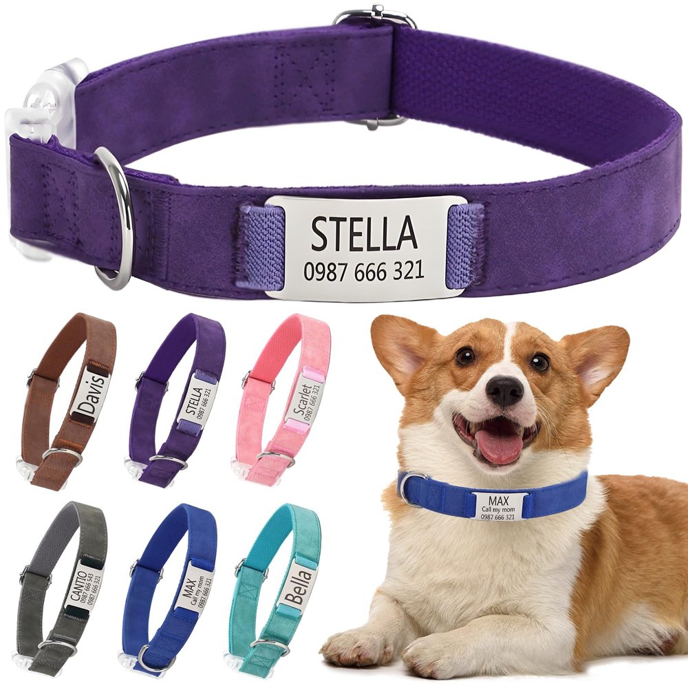 Personalized Dog Collar with Name and Phone Number