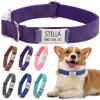 Personalized Dog Collar with Name and Phone Number view 1