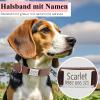 Personalized Dog Collar with Name and Phone Number view 4