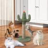 Cactus Cat Scratching Post view 2