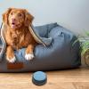 FengQingHuaGG Recordable Dog Communication Button, Light Blue view 4