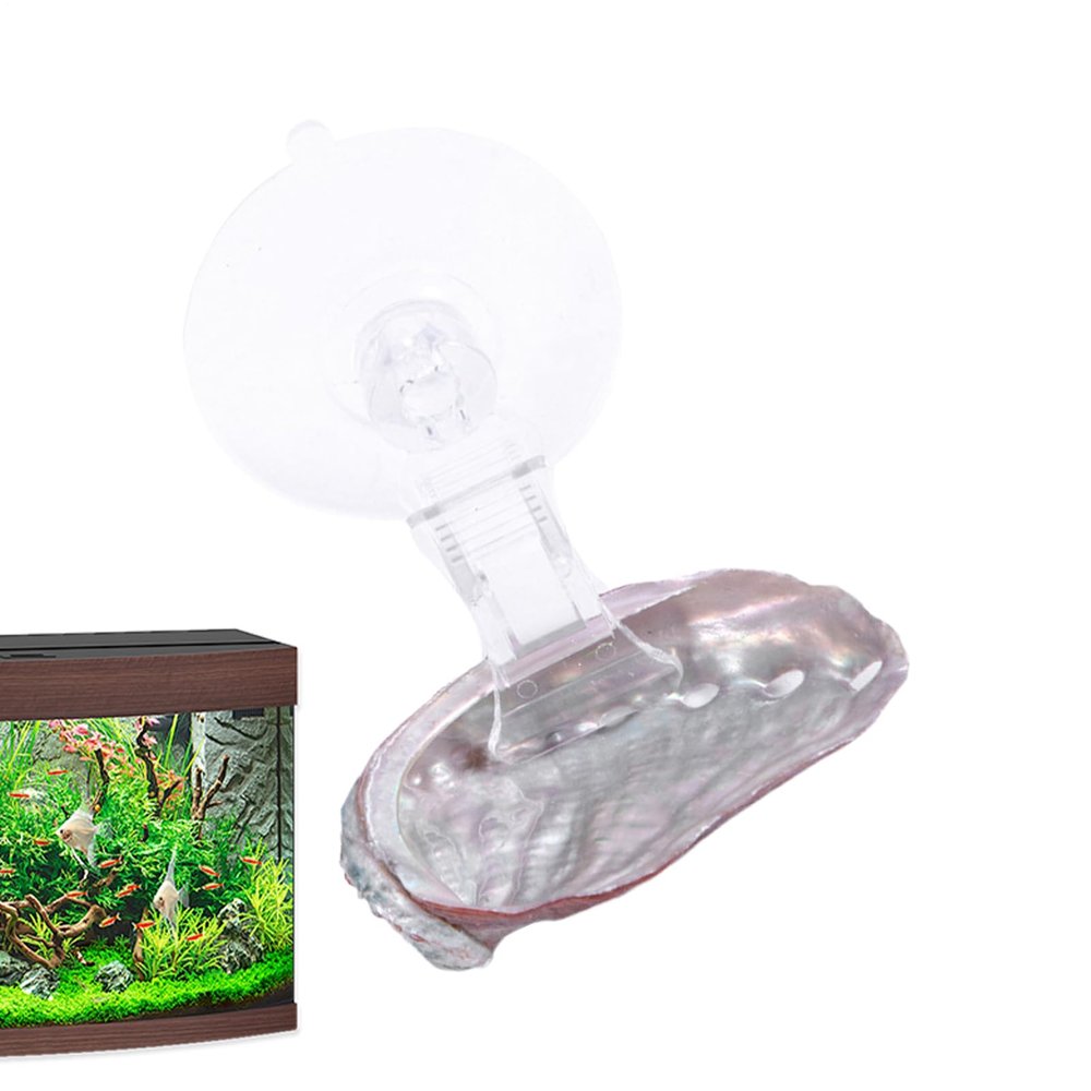 Betta Hammock Platform, Leaf Decoration for Betta Fish