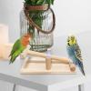Natural Wooden Bird Toys for Enrichment, Sturdy and Interactive view 4