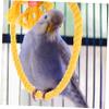 ifundom Parrot Rope Swing view 2
