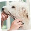 ibasenice 12-Piece Silicone Finger Protectors for Dog Grooming Scissors view 4