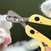 Generic Cat Nail Clipper Scissor Grooming Tool view 3