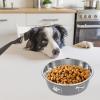 VANZACK Printed Stainless Steel Dog Bowl with Bite-Resistant Material, Non-Slip Base, and Modern Indoor Design view 3