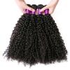 Raw Indian Kinky Curly Remy Human Hair Bundles, 8–40 Inches view 2
