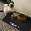 Personalized Waterproof, Non-Slip Pet Feeding Mat with Name and ID, Washable, Easy to Clean for Dogs and Cats (Color A) view 2