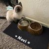 Pet Feeding Mat, Waterproof, Non-Slip, Personalized, Washable, Easy to Clean, Color C view 2
