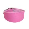 FIRSTXIU Wide Padded Leather Dog Collar for Greyhounds and Salukis view 1